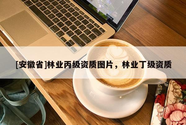 [安徽省]林業(yè)丙級資質(zhì)圖片，林業(yè)丁級資質(zhì)