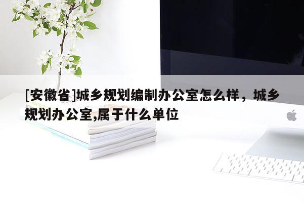 [安徽省]城鄉規劃編制辦公室怎么樣，城鄉規劃辦公室,屬于什么單位