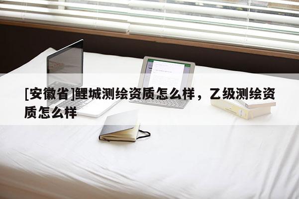 [安徽省]鯉城測繪資質(zhì)怎么樣，乙級測繪資質(zhì)怎么樣