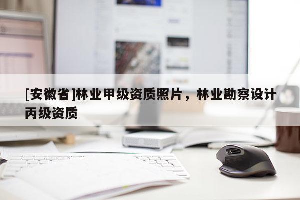 [安徽省]林業(yè)甲級資質照片，林業(yè)勘察設計丙級資質