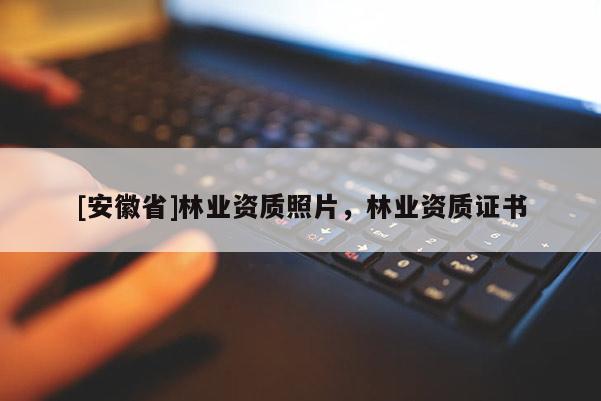 [安徽省]林業資質照片，林業資質證書