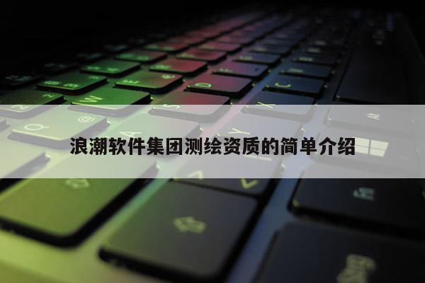 浪潮軟件集團測繪資質(zhì)的簡單介紹