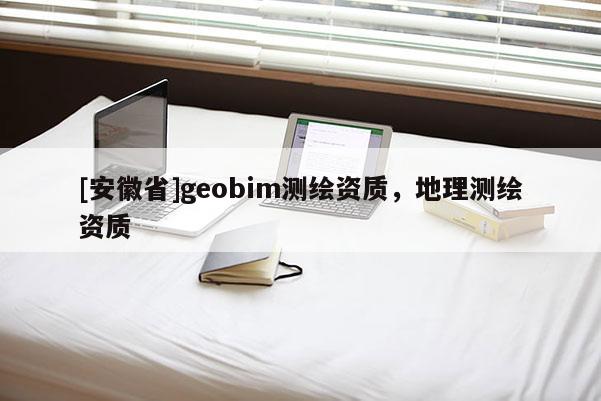 [安徽省]geobim測繪資質，地理測繪資質
