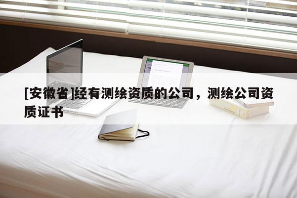 [安徽省]經有測繪資質的公司，測繪公司資質證書
