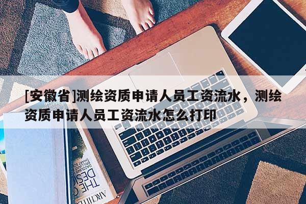 [安徽省]測繪資質申請人員工資流水，測繪資質申請人員工資流水怎么打印