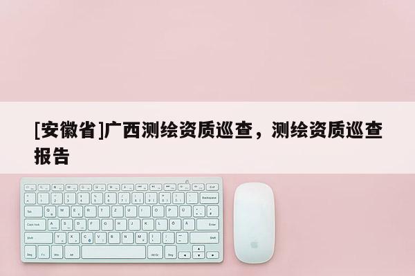 [安徽省]廣西測(cè)繪資質(zhì)巡查，測(cè)繪資質(zhì)巡查報(bào)告