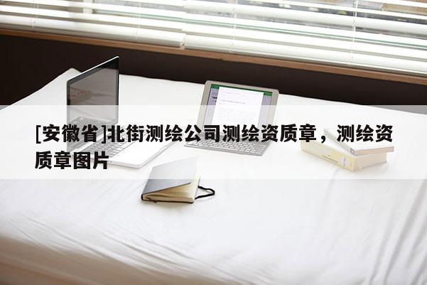 [安徽省]北街測繪公司測繪資質章，測繪資質章圖片