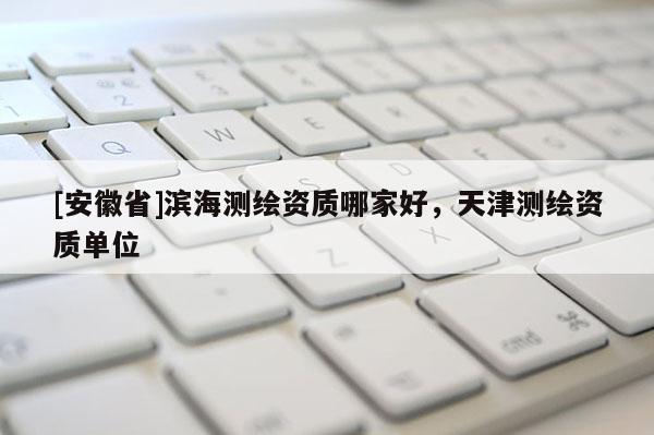 [安徽省]濱海測繪資質哪家好，天津測繪資質單位