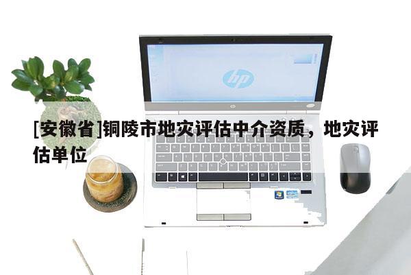 [安徽省]銅陵市地災評估中介資質，地災評估單位